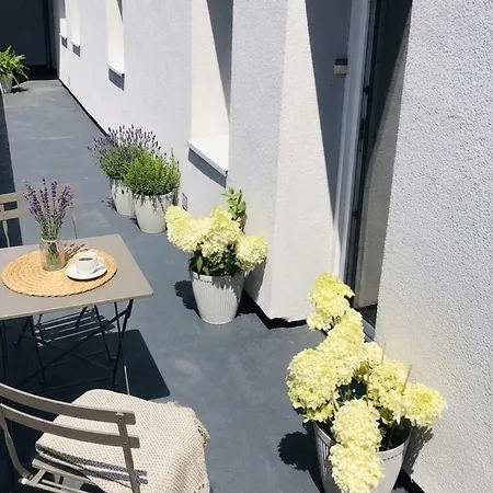 Les Hortensias